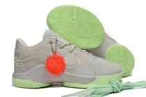 LeBron James Shoes 22-13